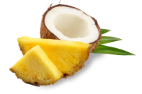renacare-produkte-renapro-shot-geschmackssorten-pinacolada renacare-produkte-renapro-shot-geschmackssorten-pinacolada